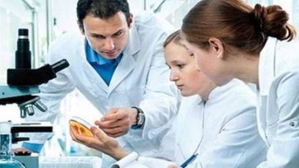 علماء أمريكيون يتوصلون إلى الجينات المسئولة عن إصلاح الجهاز العصبي