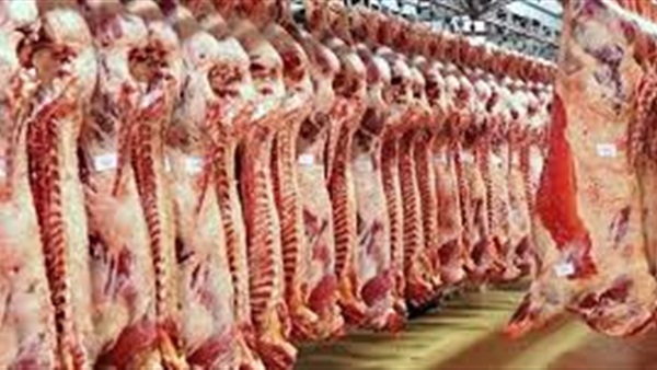 أسعار اللحوم اليوم بالسوق المحلى 
