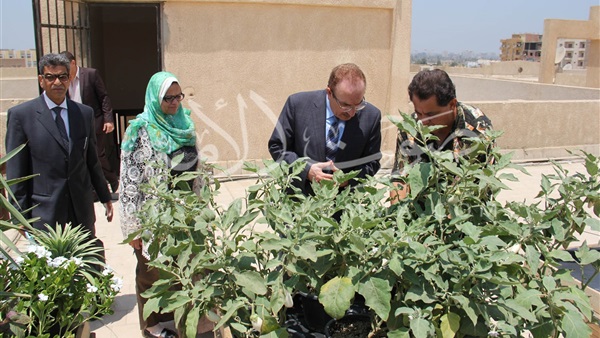 محافظ بني سويف يوجه المواطنين بزراعة أسطح منازلهم 