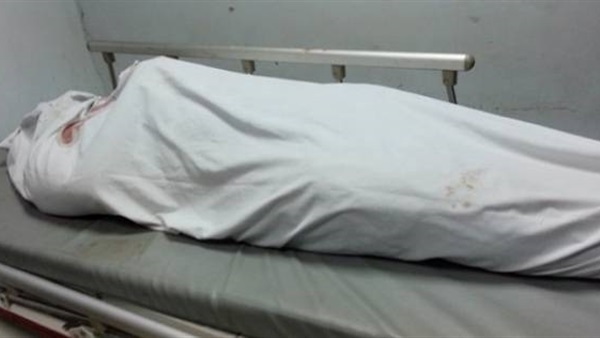 أخذا بالثأر.. شقيقان ينهيان حياة مسجل خطر بحلوان