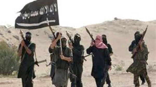 «فيس بوك» يحذف صور ضربات الجيش ضد أنصار بيت المقدس 