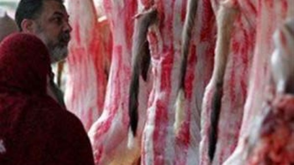 استقرار أسعار اللحوم والدواجن اليوم.. و«الكندوز» يسجل 45 أدنى سعر 