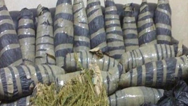 مكافحة المخدرات تضبط أكبر تجار البانجو بدار السلام 