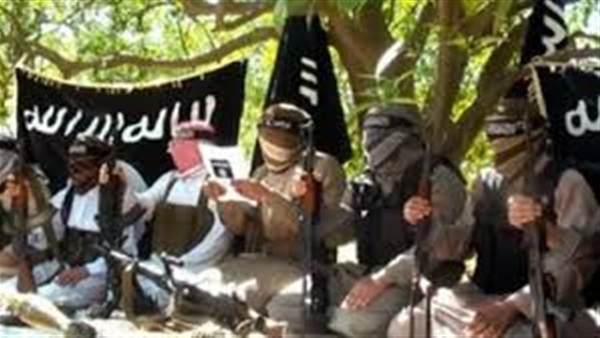 تصفية أحمد أبو القاسم القيادي بتنظيم «بيت المقدس» في سيناء