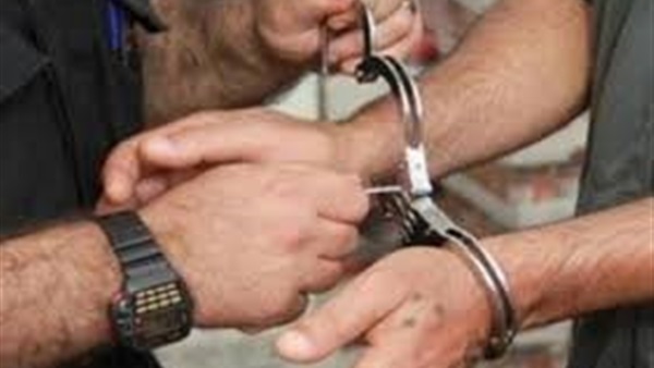 حبس جزار اعتدى على مستشار بمحكمة النقض