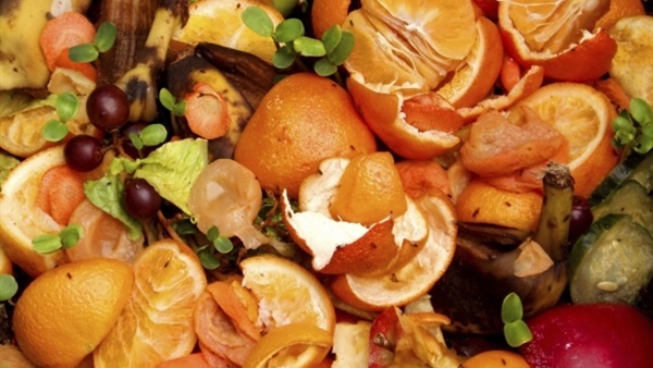 دراسة: إهدار خمسي الفاكهة والخضروات في بريطانيا بسبب "عدم جمال مظهرها"