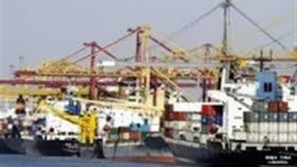 وصول 1583 رأسا من العجول الصومالية إلى ميناء أبوطرطور بالغردقة