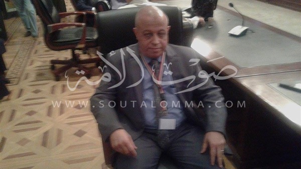 نائب "الجمرك" بالإسكندرية: البرلمان سيشكل حكومة جديدة 