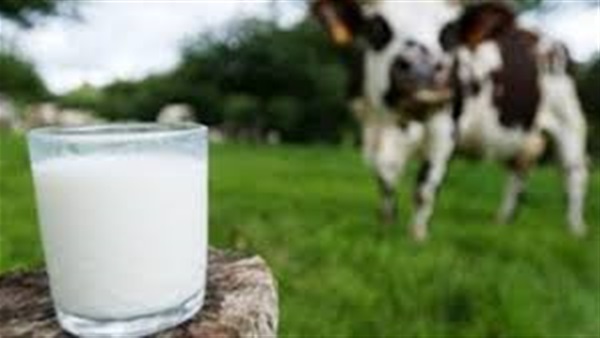 دراسة.. منتجات الحليب كامل الدسم تضعف الحيوانات المنوية لدى الرجال