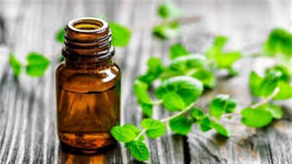 زيت النعناع.. للتخلص من ألام الصداع