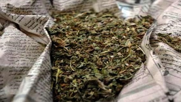 ضبط 12 كيلو بانجو بحوزة عاطل بدمياط