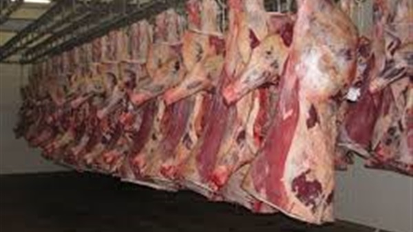 علماء يطورون اللحوم معمليا عن طريق الخلايا الجذعية المأخوذة من البقر