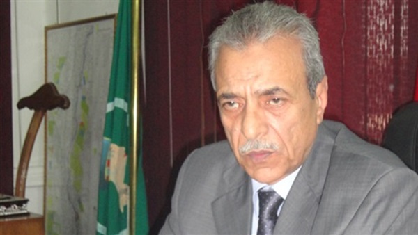 كمال حبيب يطالب الرئاسة بحل أزمة إسراء الطويل