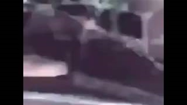 بالفيديو.. نجاة رجل متهورين من حادث مروع