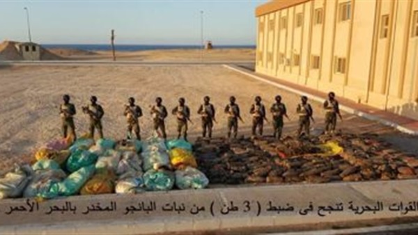ضبط 3 أطنان من نبات البانجو على سواحل البحر الأحمر