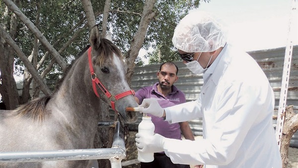 فيديو.. بايرن ينتقم ويسحق أرسنال بخماسية ثقيلة