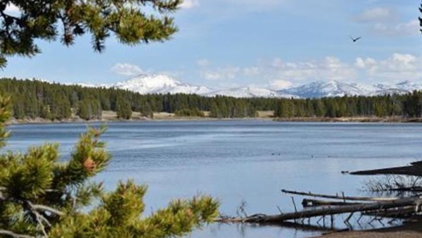 طفيليات "فتّاكة" في نهر أميركي