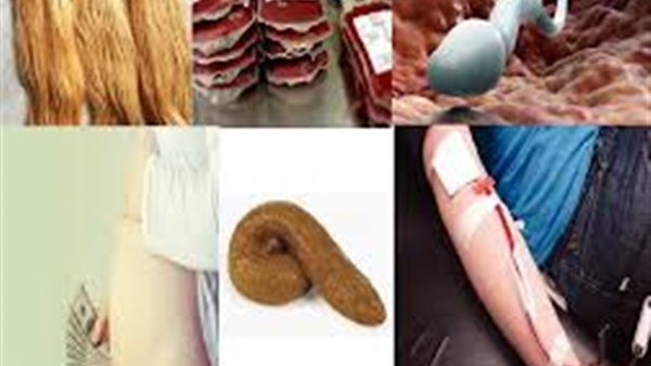 أغرب 10 طرق للحصول على المال من خلال أعضاء الجسم.. بيع النساء لبويضاتهن.. والأمهات لحليب الرضاعة.. والرجال للحيوانات المنوية.. «الشعر» لإستخدامه في صنع «الباروكة».. وتأجير «الرحم» مقابل مبلغ مالي