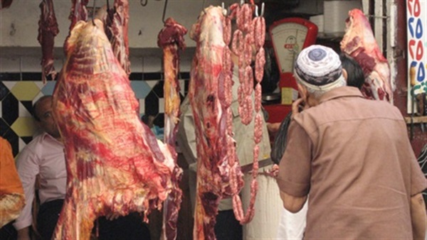 تموين بورسعيد: 65 جنيهًا سعر كيلو اللحوم البلدية في عيد الأضحى 