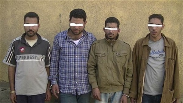 ضبط تشكيل عصابي لسرقة المواشي بالغربية