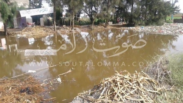 20 صورة ترصد مأساة أهالى البحيرة مع الأمطار