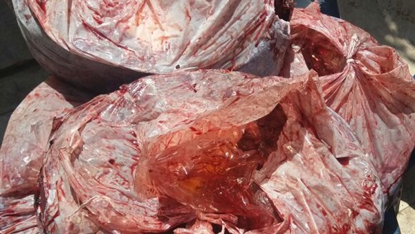 التموين ترصد مطعم شهير  بمدينة نصر يقدم لزبائنه لحوما فاسدة