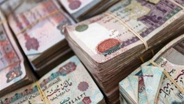 بالفيديو... مواطنة تتبرع بـ 5 ملايين جنيه للدولة بشرط واحد