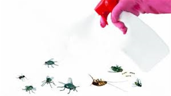 تحذير من استخدام مضادات البراغيث للحيوان واستعمالها للأطفال