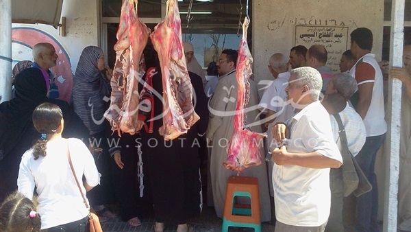 بالفيديو والصور.. توزيع لحوم بـ65 جنيه للكيلو على أهالي طور سيناء 
