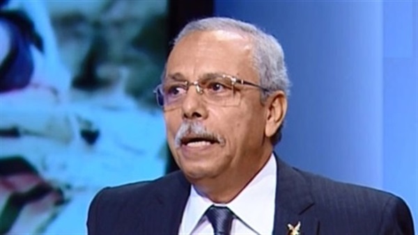 بالفيديو.. خبير استراتيجي يطالب بترحيل كلا من يهاجم «الجيش» خارج مصر 
