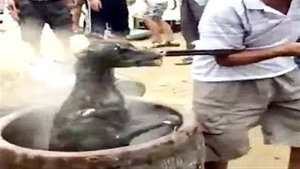 بالفيديو.. الإمارات تحتفل بالعائدين من حرب تحرير اليمن