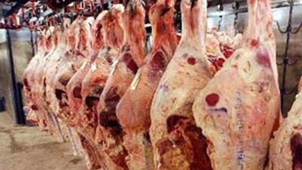 بالفيديو.. الزراعة تكشف خطتها لاستقبال عيد الأضحى