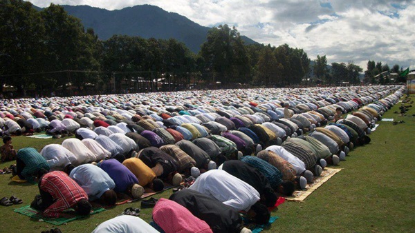 «أوقاف كفر الشيخ»: ممنوع إستخدام ساحات غير مرخصة لصلاة العيد