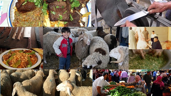 6 نصائح لقضاء أول ايام عيد الأضحى مع الأسرة 