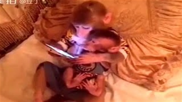 بالفيديو.. قردة تُعلّم صغيرها طريقة استعمال "التابليت"