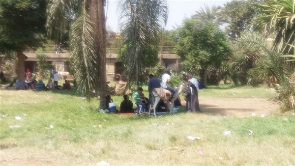 بالصور.. انتشار الجمال والحمير بحدائق القناطر الخيرية