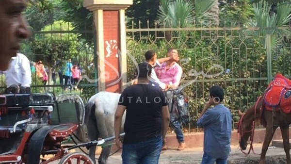 بالصور.. مشاجرة بين سيدة ومؤجر حناطير بالقناطر الخيرية