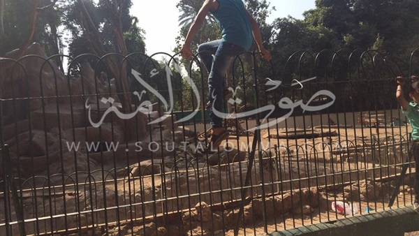 بالصور.. الشباب يتسلقون أسوار «النسانيس» بحديقة الحيوان