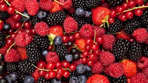 «التوت» يعزز الانتصاب وعدد الحيوانات المنوية