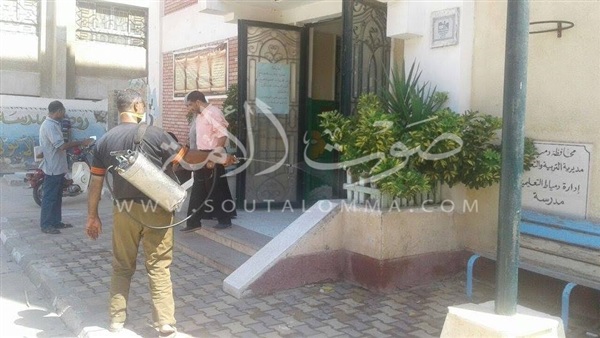 بالصور.. حملة مكبرة لمكافحة القوارض بدمياط