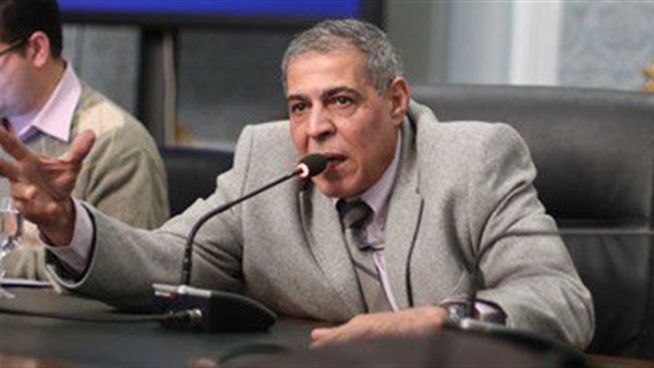 برلماني: خطاب السيسي أمام الأمم المتحدة تاريخي وحاسم
