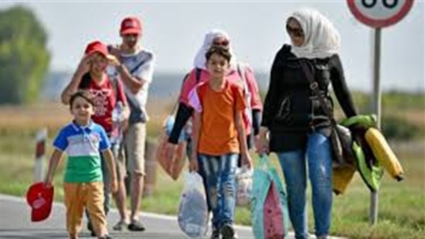 باحث أمريكي: المتجنسون قد يغيرون الحسابات في انتخابات الرئاسة المقبلة