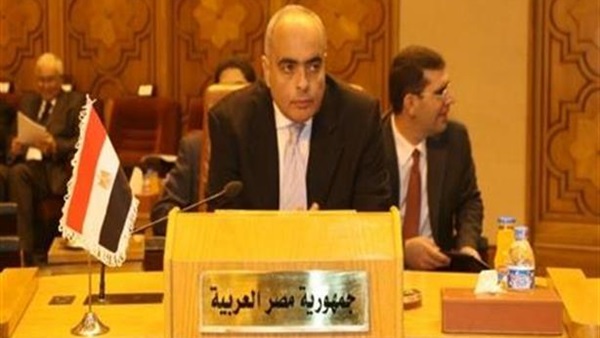 مندوب مصر لدى الأمم المتحدة يدعو موسكو وواشنطن لتنحية الخلافات