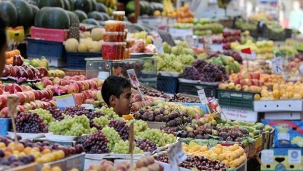 مسؤول روسي: موسكو ترفع الحظر على واردات الفواكه والخضروات من مصر