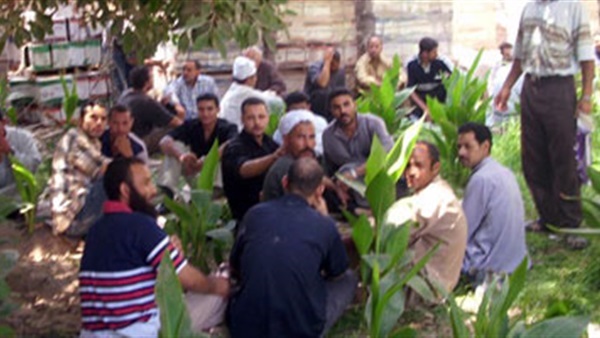 فض إضراب العاملین بالشركة الدولية للسراميك بقويسنا