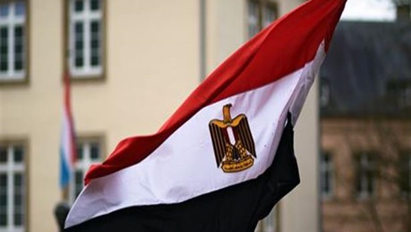 مصر تدين الاعتداء على سفينة مساعدات إنسانية إماراتية بباب المندب