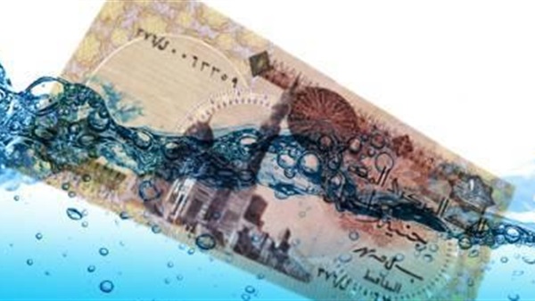 «مهران»: «تعويم الجنيه» يلحق الخسائر بكافة القطاعات