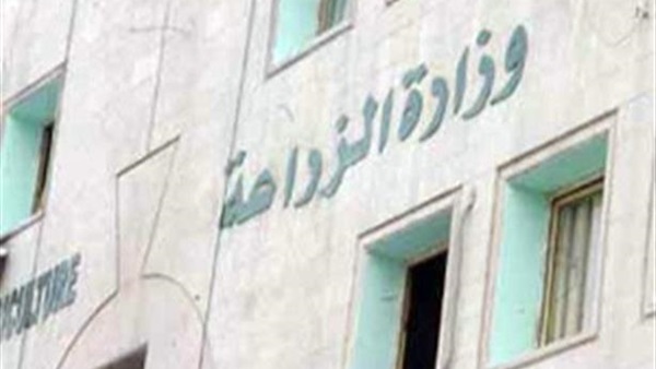 «الزراعة»: إزالة 568 حالة تعدِ على الأراضي في محافظات الجمهورية