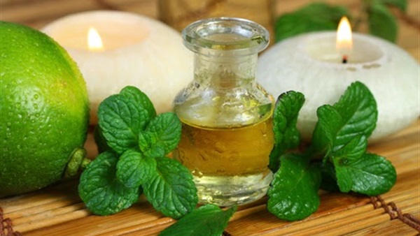 زيت النعناع.. للتخلص من ألام الصداع