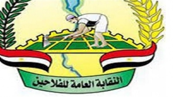 وكيل نقابة الفلاحين يلتقى بنائب المنيا لدراسة أزمة محصول الذرة 